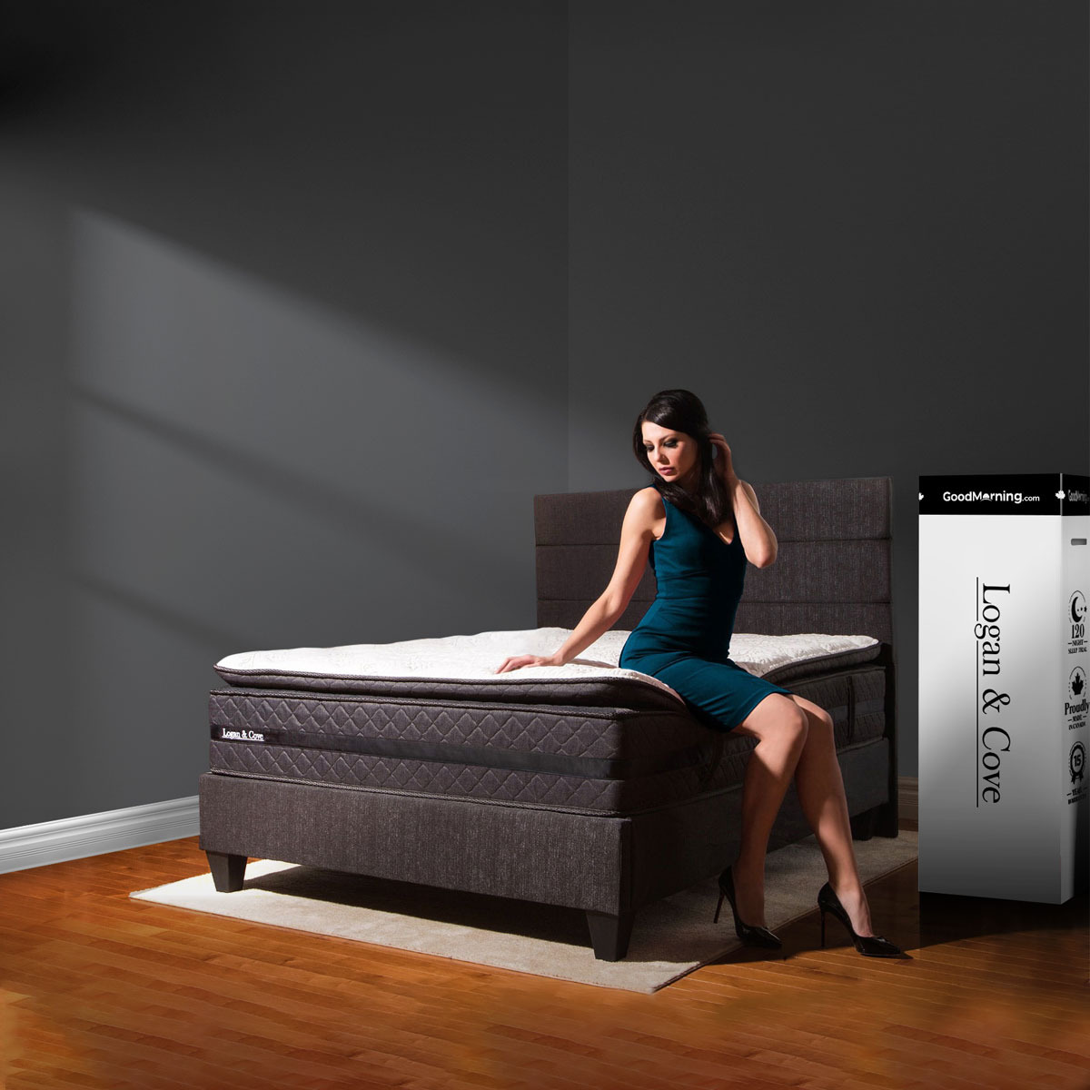 Shop the Logan & Cove Luxury PillowTop Mattress